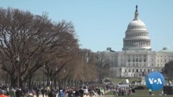 Gun-Safety Advocates Hope Democrat-Controlled House Addresses Their Concerns