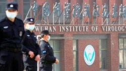 China Tries to Sow Doubt About Coronavirus Origins