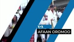 Tamsaasa Guyaadhaa Guyyaa