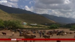 መንግስቲ ኢትዮጵያ ንጸብጻብ ቢቢሲ ነጺግዎ