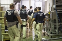 FILE - Immigration and Customs Enforcement (ICE) together with Homeland Security Investigations (HSI) officers prepare to make arrests at an agricultural processing facility in Canton, Mississippi, Aug. 7, 2019.