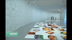 VOA连线: 艾未未“踪迹”华盛顿个展开幕 新墙纸作品首次亮相