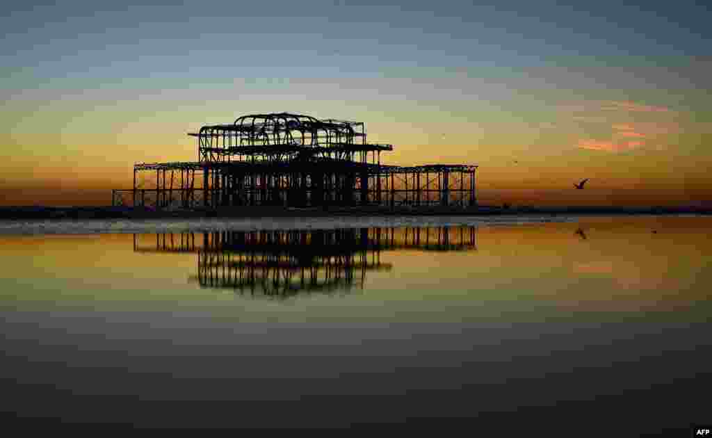 Kawanan burung-burung jalak hinggap di bekas konstruksi pelabuhan di West Pier dekat pantai Brighton, Inggris.
