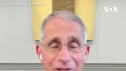 Fauçi Rusiya peyvəndinin effektivliliyi ilə bağlı şübhələrini bildirib