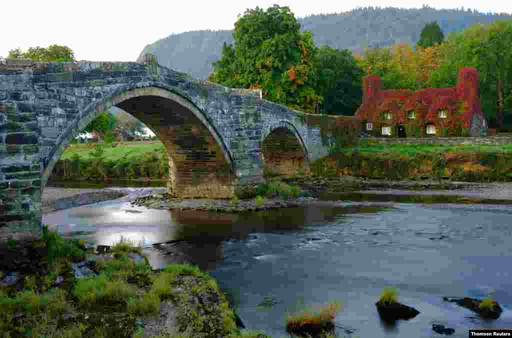 가을이 찾아온 영국내 북부 웨일스의 콘위 강(River Conwy) 주변이 붉은 단풍으로 물들고 있다. 