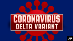 新冠病毒德尔塔变异毒株示意画。（美联社）