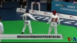 朝鲜运动员参加韩国跆拳道世界竞标赛开幕式演出