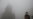 Smog Shuts Down Chinese City
