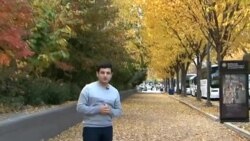 Amerikana: Vaşinqton Payızı - təbiətin möcüzəsi