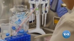 Study Links Measles to 'Immune Amnesia'