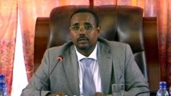 የጂጂጋው ጥቃት ምንነትና መንሴ፤ .. ክፍል ሁለት