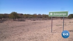 Botswana’s Growing Elephant Population Clashes with Humans