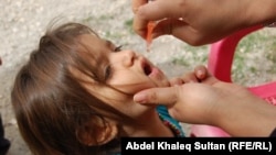 پولیو تداوی ندارد و تنها با دوقطره واکسین می توانید جلو مصاب شدن طفل تانرا به فلج دایمی بگیرید.