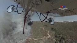 Բարի Լույս. Արման Թարջիմանյան