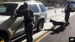 Пограничники используют собаку, натренированную на обнаружение наркотиков, для проверки транспортных средств на контрольно-пропускном пункте Pine Valley в Калифорнии (AP Photo/Elliot Spagat, архивное фото)