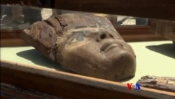 အသက် ၄၀၀၀ ကျော် မမ်မီကြည့်မလား၊ နွားနားသီချင်းဆိုသူ