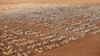 FILE - An image of the world's largest refugee camp, Dadaab, in northeastern Kenya, 2012.
