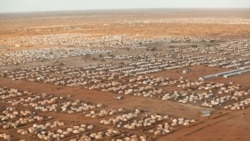 ኬንያ ክልተ ዓበይቲ መዓስከር ስደተኛታት ንምዕጻው ወሲና