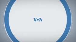 Итоги с Юлией Савченко