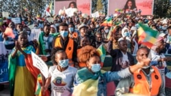 በአዲስ አበባ ከተማ የተካሄደው ሰልፍና የነዋሪዎች አስተያየት