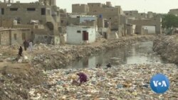 Province in Southern Pakistan Set to Ban Plastic Bags on October First