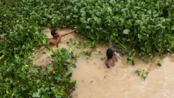 የእምቦጭ አረምን የማስወገድ ዘመቻ ተጀመረ