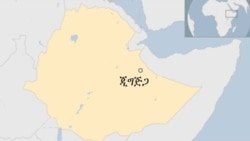 የጂጂጋው ጥቃት ምንነትና መንሴ .. ክፍል አንድ