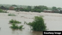 Roobi ka miidhe tokko Ganda Waaldaati, bulchaan gandichaa ‘chief’ Dootii Jaatanii bokkaan kun ammaa hin dhaabbanne jedhan.