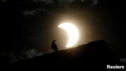 የፀሐይ ግርዶሽ