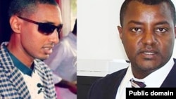 ቴዎድሮስ ፀጋዬ እና ሼክስፒር ፈይሳ