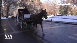 თოვლმა ნიუ-იორკელებს და ქალაქის სტუმრებს საშობაო განწყობა შეუქმნა