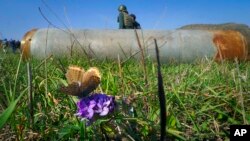 在纳-卡地区斯捷潘纳克特的田野上，一只蝴蝶落在一朵花上，附近是阿塞拜疆军队发射的火箭炮的弹片。(2020年10月20日)