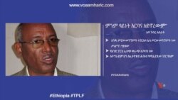"ምንም ዓይነት እርባና አይኖረውም” - አቶ ገብሩ አስራት