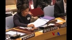 美驻UN大使赖斯将任总统国安顾问 