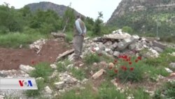 Rewşa Herêma Berwariya Û Bombebarana Tirkiyê