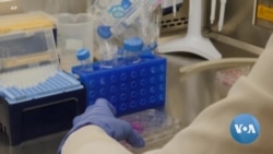 Study Links Measles to 'Immune Amnesia'