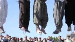 ابراز نگرانی نهاد سازمان ملل از کارنامه حقوق بشری ایران