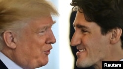 도널드 트럼프 미국 대통령(왼쪽)과 쥐스탱 트뤼도 캐나다 총리가 2월 백악관에서 열린 정상회담에 앞서 인사를 나누고 있다.