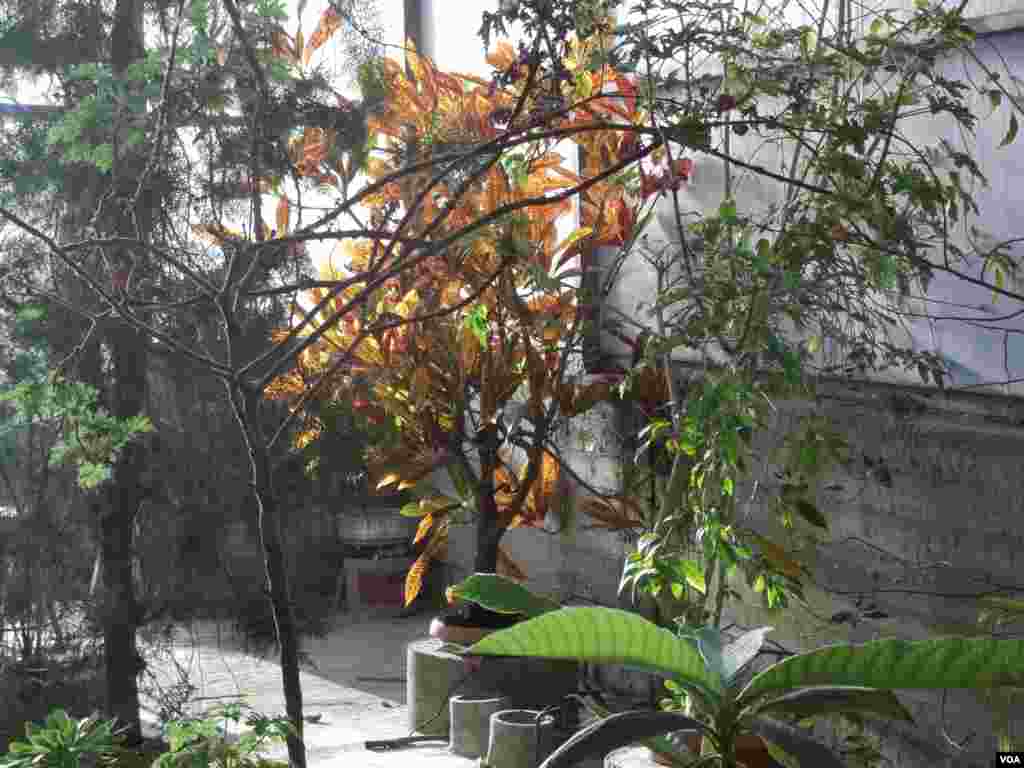 The second floor of the Sarah Racine Root laboratory sets up visitors for an unexpected view underground. (Rosanne Skirble/VOA)