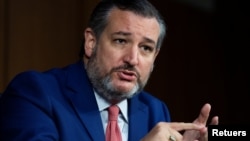 테드 크루즈 미국 공화당 상원의원.