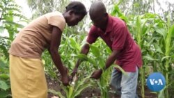 Malawi, UN Pilot Drone Project to Fight Hunger