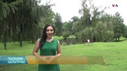 Հայ-Ադրբեջանական հակամարտություն, կորոնավիրուս, սով և սոցիալական այլ հարցեր. ՀԱՅԱՑՔ ԱՄԵՐԻԿԱ