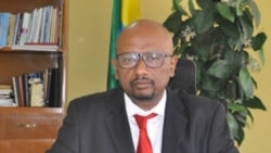 Waa’een Hidha Laga Abbayyaa Dhimma Biyyoota Sadeen Giddutti Xumuramuu Qabu Dha.Angawaa Itiyoophiyaa