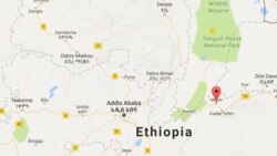 ኣብ ኢትዮጵያ ኣብ ዶብ ክልላት ኦሮሚያን ሶማሊያን ብዝተፈጥረ ግጭት ሸሞንተ ሰባት ምሟቶም ነበርቲ ገሊጾም