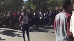 Hiriira araaraa barattoota Amboo