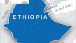 በባሌ ዞን ዲንሾ ወረዳ የጭነት አሽከርካሪ ግድያ ተጠርጣሪዎች ታሰሩ