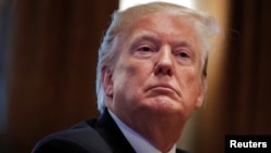 美国总统特朗普在白宫举行内阁会议。（2019年1月2日）