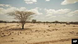 Kuusaa Faayilaa keessaa