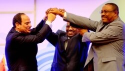 የኢትዮጵያ ጠ/ሚኒስትር የሥራ ጉብኝት በግብፅ