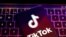 FILE PHOTO: Illustration shows TikTok app logo